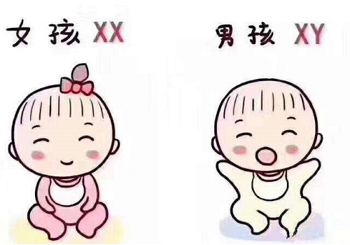 試管嬰兒方案有哪幾種？具體內容是什么？
