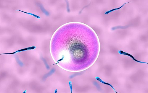 2022年人工授精和試管區(qū)別!