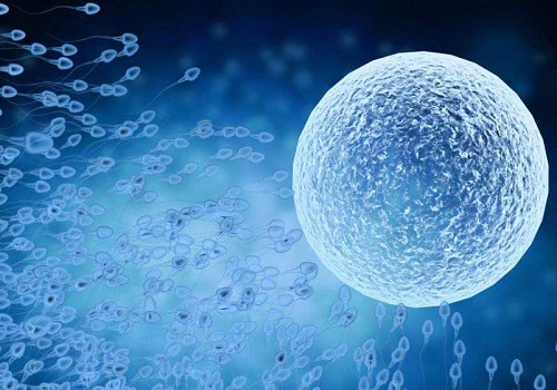 2022做試管最好的醫(yī)院是哪