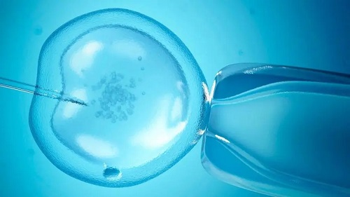 2022上海哪個醫院做試管嬰兒成功率最高？多長時間？