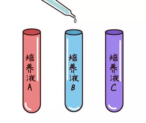 三代篩選的囊胚是什么樣的？3天和5天哪個更好？