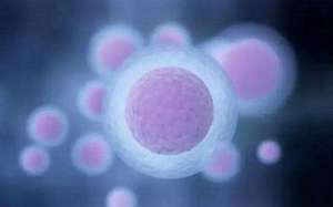 2022單身做試管嬰兒多少錢？