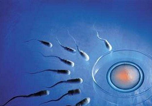 2021安徽試管嬰兒補助政策,有嗎?趕緊了解一下