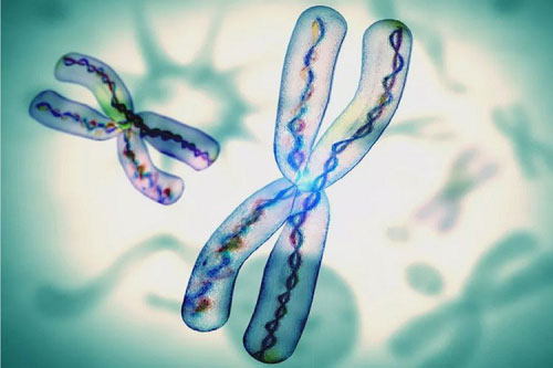 2022醫院三代試管嬰兒適應癥有哪些