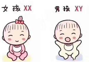 試管嬰兒方案有哪幾種？具體內(nèi)容是什么？
