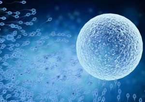 2022做試管最好的醫(yī)院是哪