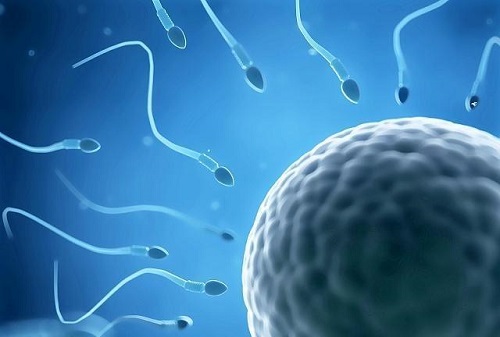 2022三代試管嬰兒精子活力要達到多少？