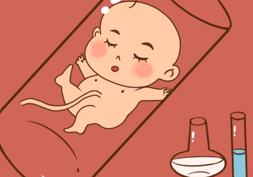上海試管嬰兒費用包括什么