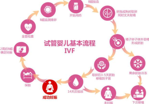 試管嬰兒醫(yī)療費(fèi)用