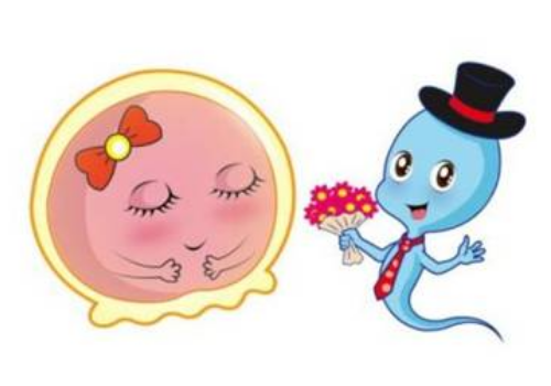 山西省人民醫(yī)院做試管嬰兒多少錢