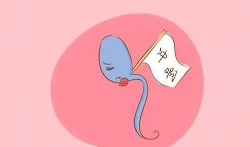 試管嬰兒的具體步驟和具體花費(fèi)是多少