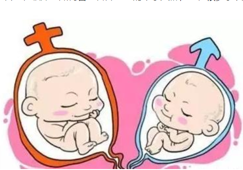 美國試管助孕生子？?