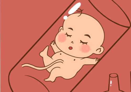 北京去俄羅斯做試管助孕？?